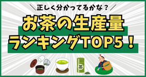 お茶の生産量ランキングTOP5！正しく分かってるかな？
