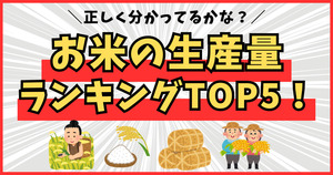 お米の生産量ランキングTOP5！正しく分かってるかな？